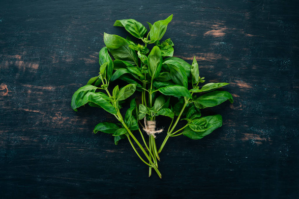Fresh green basil. Top view. On the background. Free space for text. - Valokuva, kuva
