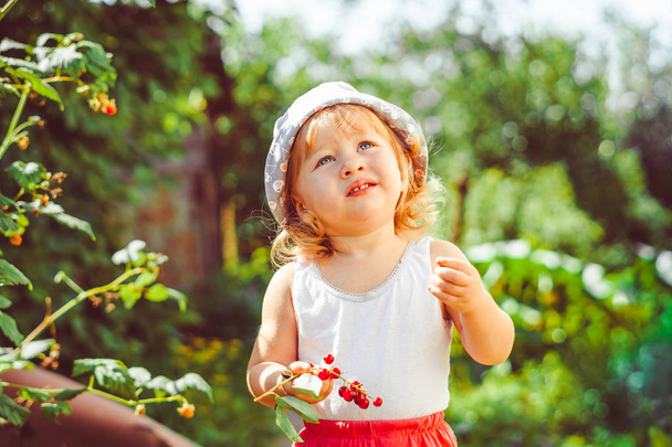 ребенок в саду с ягодами
 - Фото, изображение