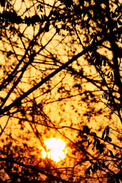 Coucher de soleil d'automne
 - Photo, image