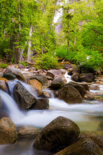 The creek below Shannon Falls in Provincial Park in Squamish Canada - Photo, Image