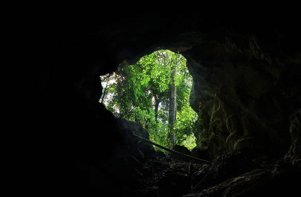 Vista del bosque tropical desde la cueva: Parque Nacional Nam Nao, Tailandia
 - Foto, imagen