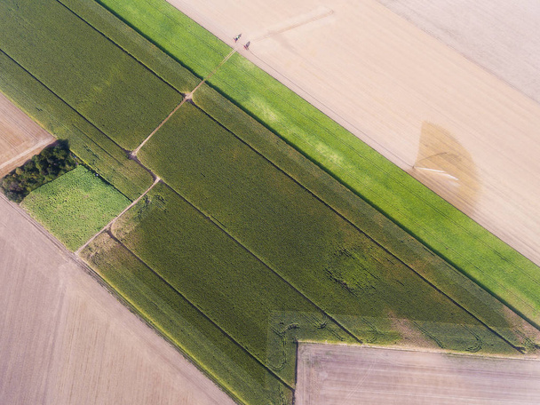 Shapes in the field, Richarville, Essonne, France - Photo, Image
