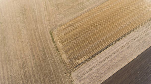 Shapes in the field, Courson, Essonne, France - Photo, Image