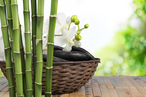 Bambus lázeňské léčby lázně orchidejí feng shui kamenný květ - Fotografie, Obrázek