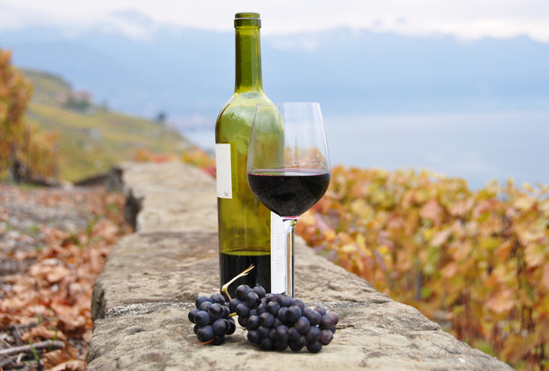 Бокал красного вина и бутылка на террасе виноградника в Лаво
 - Фото, изображение