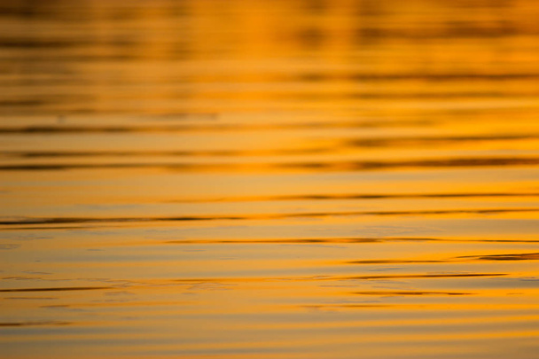 water background in colorful sunset light. - Foto, imagen