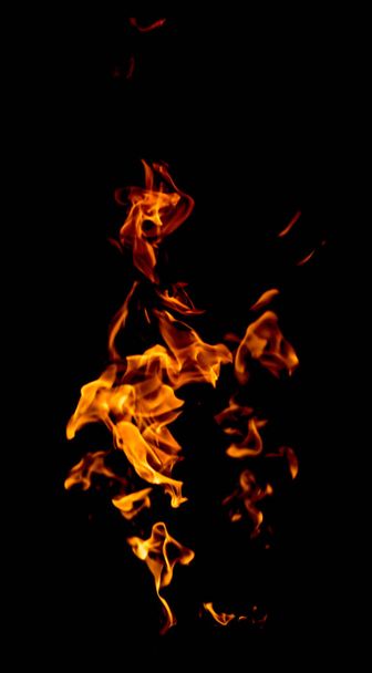 Fire flames on a black background - 写真・画像
