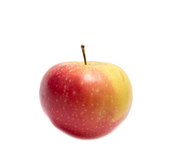 ripe apple on a white background - 写真・画像