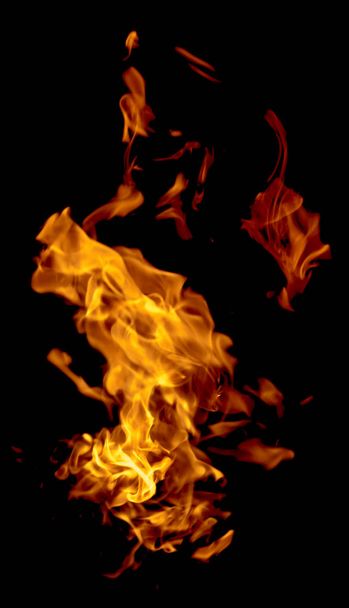 Fire flames on a black background - Фото, зображення