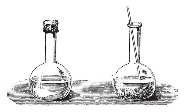 Błyskawiczne krystalizacji siarczanu sodu, vintage grawerowane ilustracja. Magasin Pittoresque 1867. - Wektor, obraz