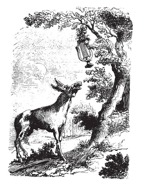 Co robi ten liry, vintage ilustracji grawerowane. Magasin Pittoresque 1878 - Wektor, obraz
