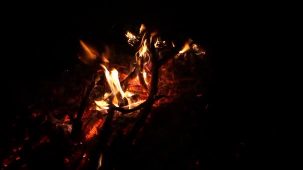 Close up van hete brandende vuur hout kolen - sintels van het vuur en as van grote open haard vuur en vlam smeulende - Video