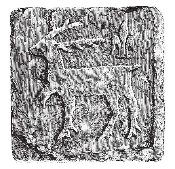 Terracotta tegels bestrating ongeglazuurd, uit het kasteel van Grainetiere, Vendee, dertiende centur - Vector, afbeelding