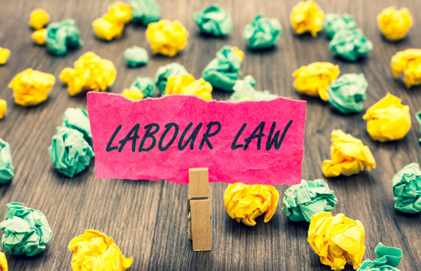 Writing note showing Labour Law. Business photo showcasing Rules implemented by the state between employers and employee Clothespin holding pink note paper crumpled papers several tries - Photo, Image