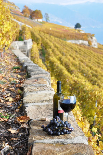 Glass of red wine and a bottle on the terrace of vineyard in Lav - Photo, Image
