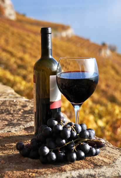 Glass of red wine on the terrace vineyard in Lavaux region, Swit - Photo, Image