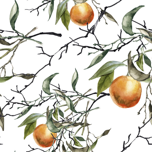 Hintergrund eines Zweiges mit Orangen. nahtloses Muster.  - Foto, Bild