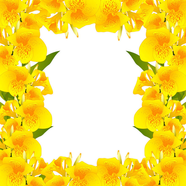 Yellow Canna indica Border - Canna lily, Indian Shot. Isolated on White Background. Vector Illustration. - Vetor, Imagem