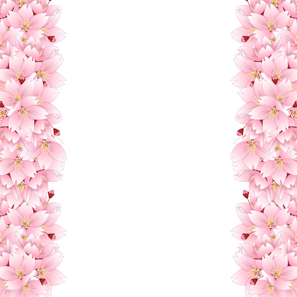 Prunus serrulata Border - Cherry blossom, Sakura. National Flower of Japan. Vector Illustration. isolated on white Background. - Vektor, obrázek