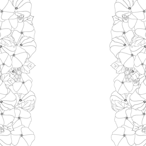 alcea rosea umrandung - Stockrosen, aoi in der Familie der Malvengewächse malvaceae. isoliert auf weißem Hintergrund. Vektorillustration. - Vektor, Bild