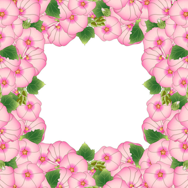 rosa alcea rosea border - Stockrosen, Aoi aus der Familie der Malvengewächse. isoliert auf weißem Hintergrund. Vektorillustration. - Vektor, Bild