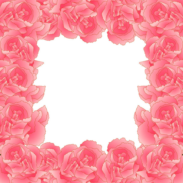Rózsaszín szegfű virág határ, Dianthus caryophyllus - szegfűszeg rózsaszín. Monaco, Spanyolország és Szlovénia nemzeti virága. Vektoros illusztráció. elszigetelt fehér Background. - Vektor, kép
