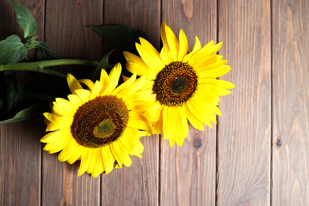 Keltaiset kauniit auringonkukat puupohjalla, jossa on tilaa tekstille. Yläkuva
. - Valokuva, kuva