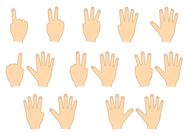 Des doigts de mains. Comptage, éducation. Prêt. Illustration vectorielle
 - Vecteur, image
