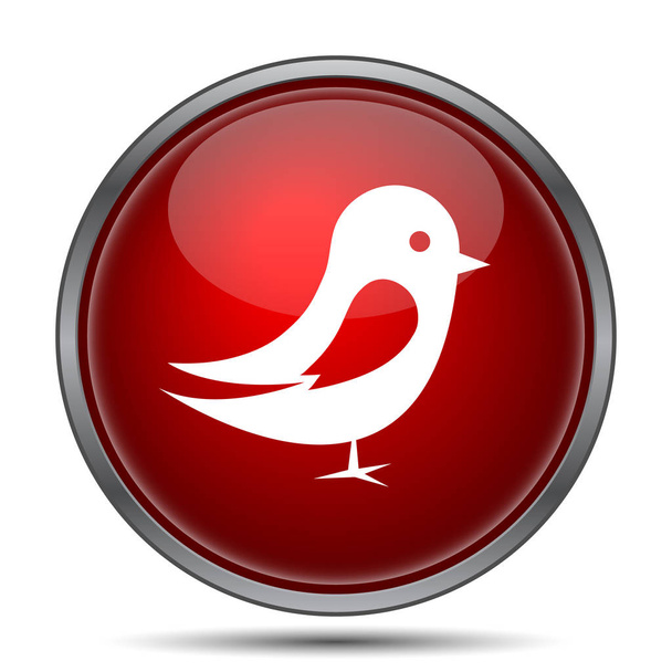 鳥のアイコン。白い背景の上のインター ネット ボタン - 写真・画像