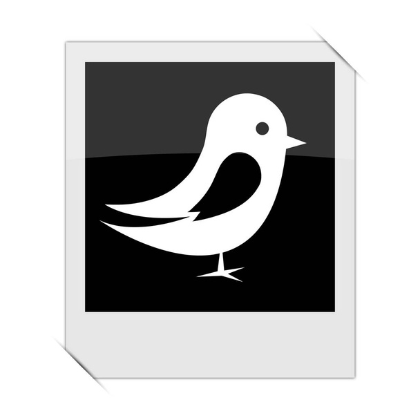 kuş simgesi - Fotoğraf, Görsel
