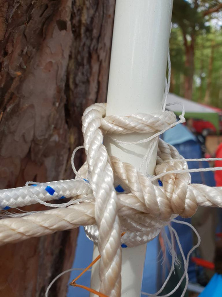 Nós de corda pendurados na árvore
 - Foto, Imagem