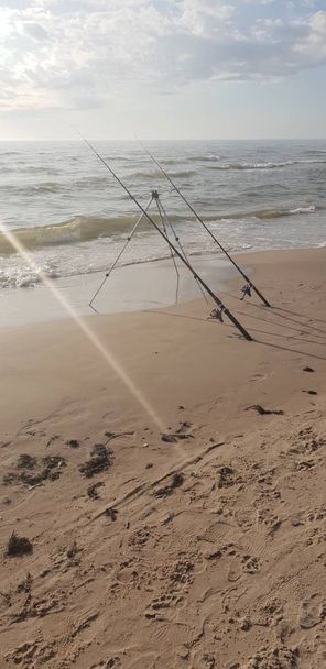 Καλάμια ψαρέματος στην παραλία της Βαλτικής θάλασσας - Φωτογραφία, εικόνα