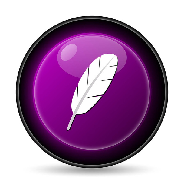 Feather icon - Foto, immagini