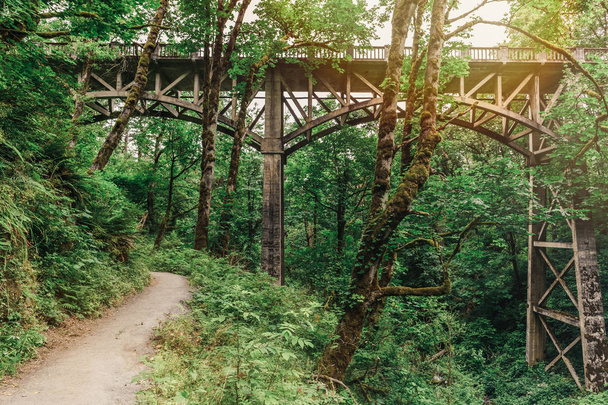 Camino mágico del bosque en verano pasando por debajo del puente de piedra
 - Foto, Imagen