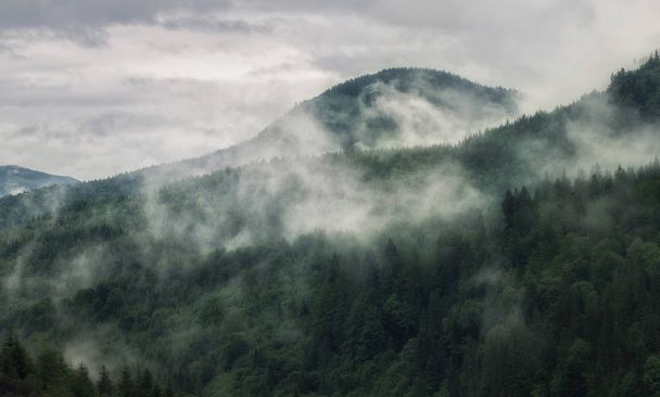 Karpaattien vuoret sateen jälkeen - Valokuva, kuva
