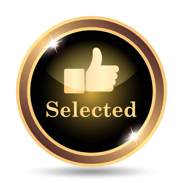 Selected icon. Internet button on white background - Photo, Image