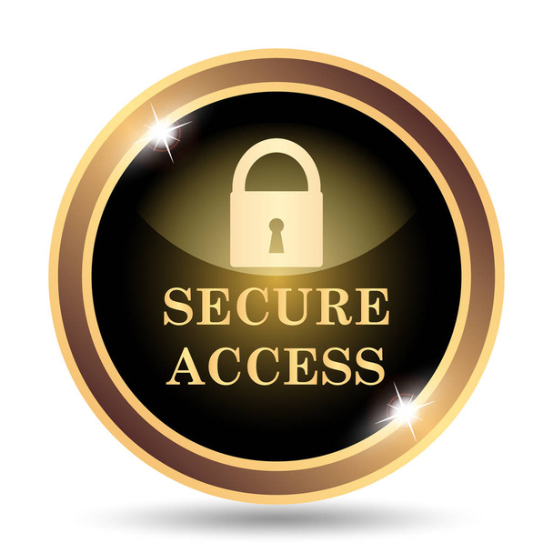 セキュリティで保護されたアクセスのアイコン。白い背景の上のインター ネット ボタン - 写真・画像