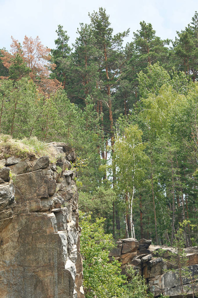 Picturesque view of forest and rocky mountain. Camping season - Zdjęcie, obraz