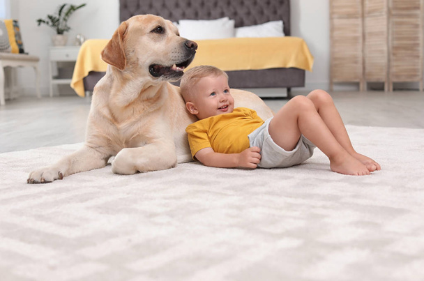 Adorable yellow labrador retriever and little boy at home - Zdjęcie, obraz