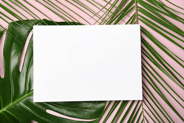 Flat lay composition with tropical leaves on color background - Foto, Bild