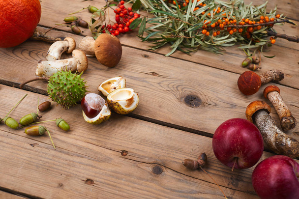 Früchte mit Gemüse mit Sanddornzweig auf Holzgrund  - Foto, Bild