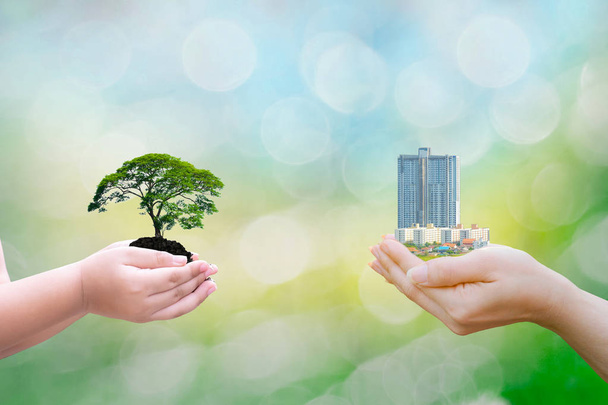 Ekologia koncepcja dziecko ludzkie ręce trzymając wielki roślina drzewo budynek z niewyraźne tło świat środowiska - Zdjęcie, obraz