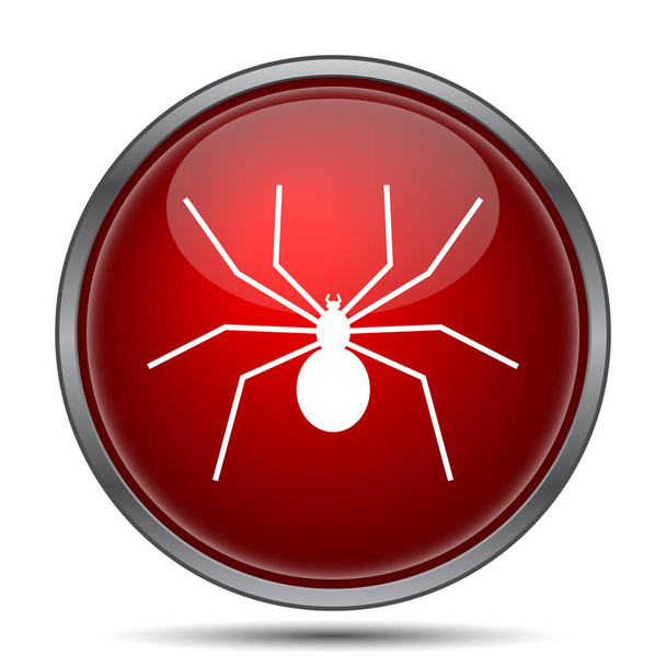 ikona pająk - Zdjęcie, obraz