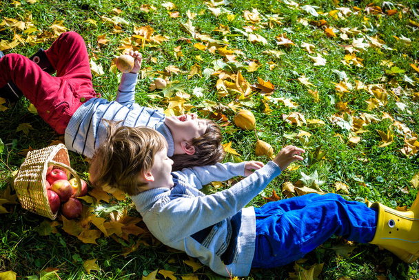 Two boys lay in the fallen autumn foliage on green grass with basket of apples. Warm autumn sunny day. Kids siblings brother boys having fun together. Friendship concept. - Photo, Image