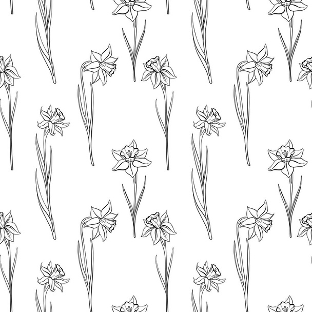 vector seamless pattern with narcissus - Vector, Image