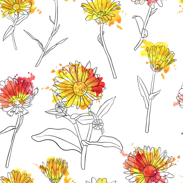 vector set of drawing calendula flowers - Вектор, зображення
