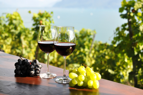 Red wine and grapes against vineyards in Lavaux region, Switzerl - Photo, Image