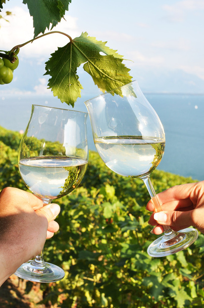 δύο χέρια που κρατούν wineglasses κατά τη λίμνη της Γενεύης. περιοχή Lavaux - Φωτογραφία, εικόνα