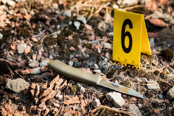 El cuchillo está en el bosque. fotos del asesinato y la investigación de la escena del crimen. Arma, cuchillo
 - Foto, imagen