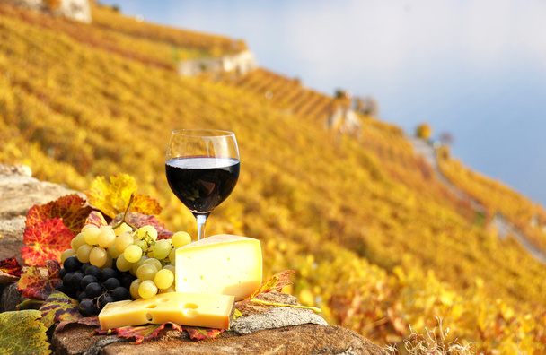 Red wine, grapes and chesse on the terrace vineyard in Lavaux re - Photo, Image